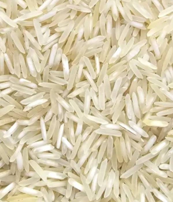 Satya Export